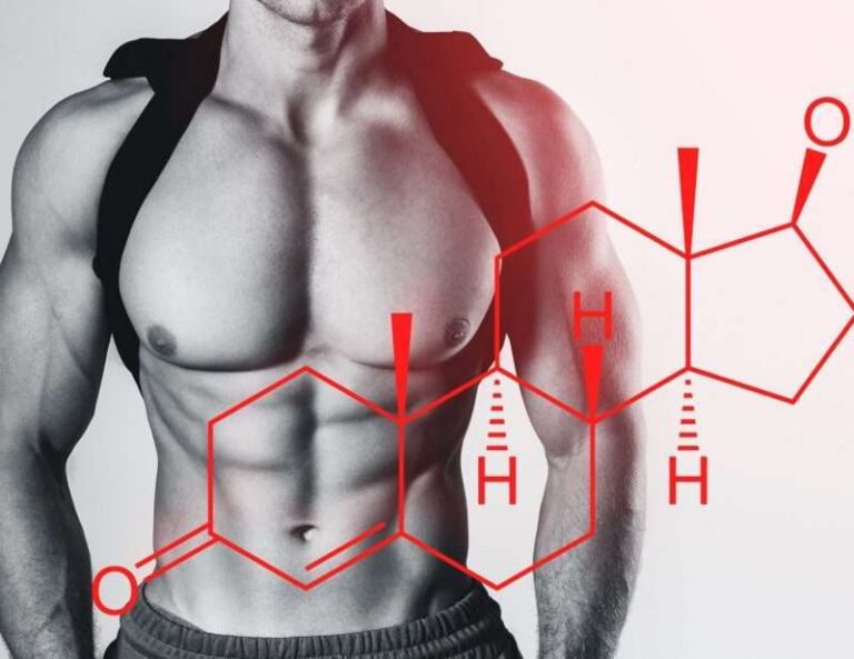 Bodybuilding e Ormoni: Gli Steroidi Sono Uguali al Testosterone o Ci Sono Differenze Importanti?