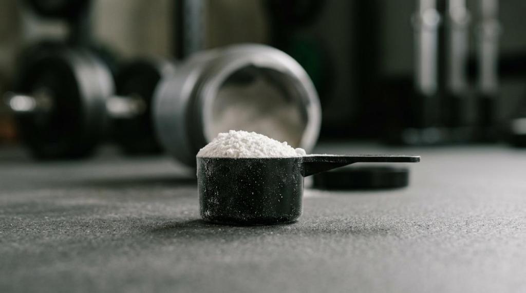 migliori prodotti definizione muscolare